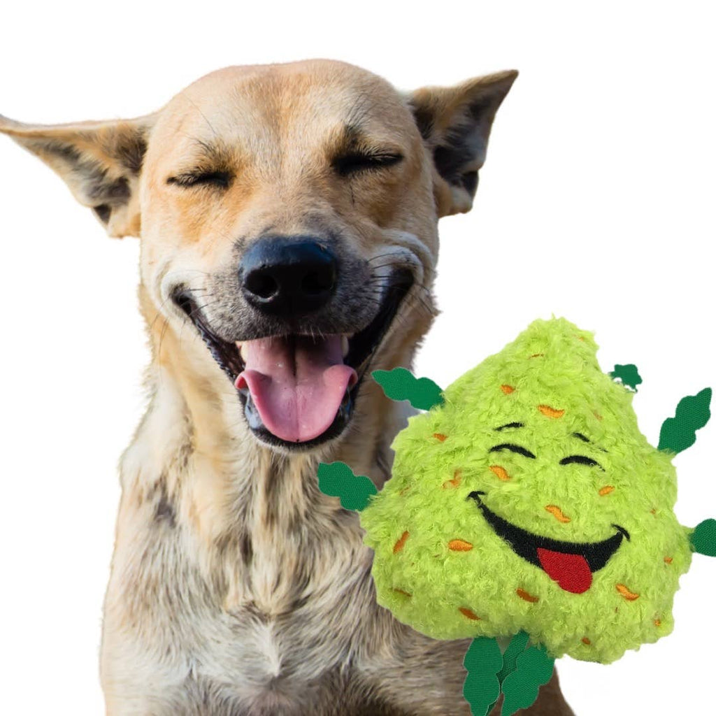 The Bud the Weed Nug 420 Dog Toy | The Playful Pooch