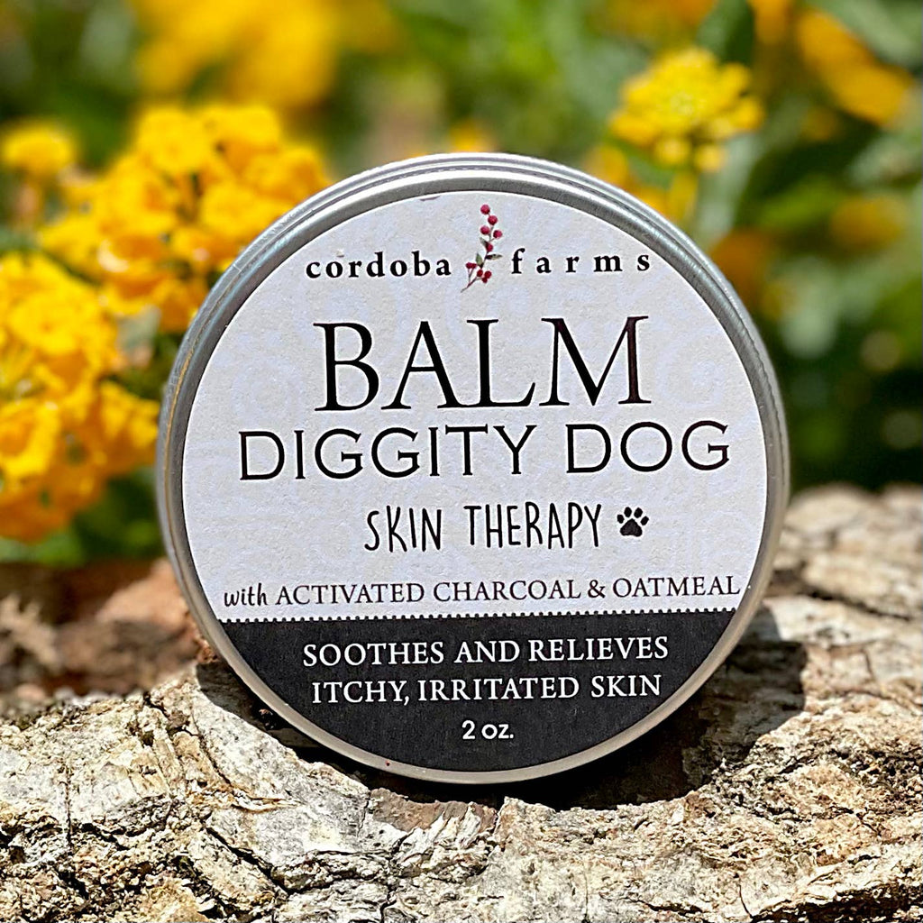 The Balm Diggity Dog Skin Therapy Balm | The Playful Pooch