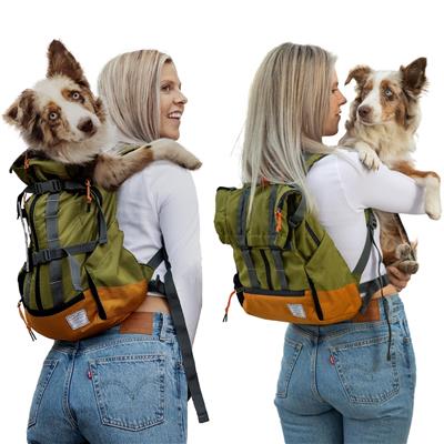 The Best Backpack for the Professional and Their Dog