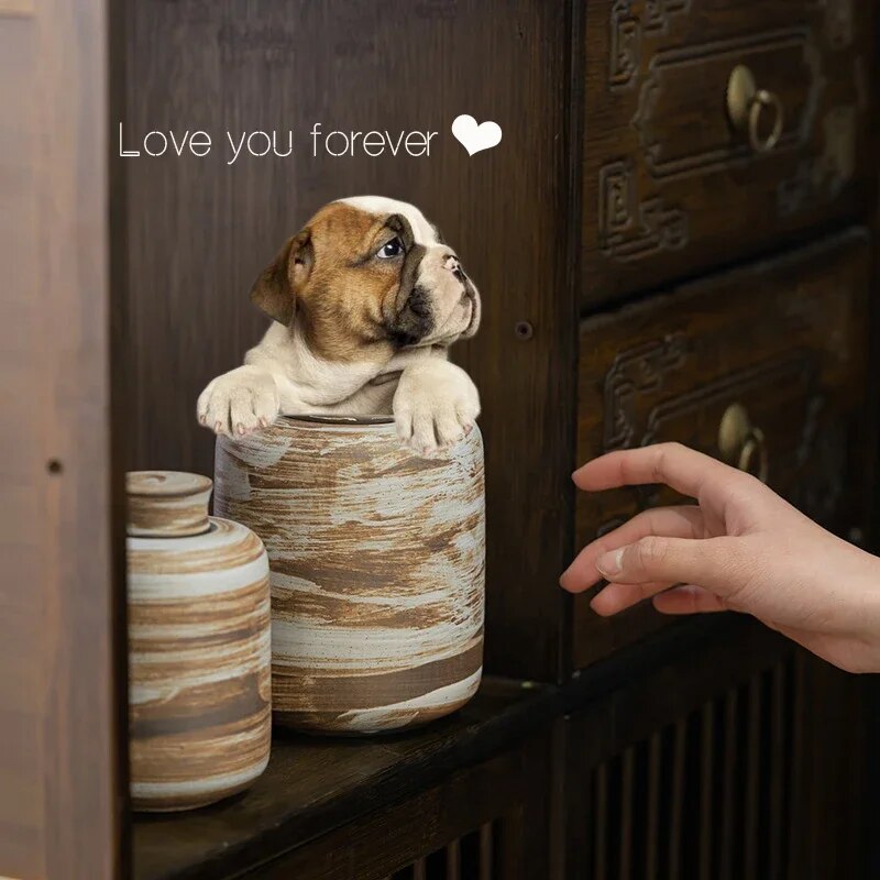 Forever in Our Hearts: Pet Memorial Collection