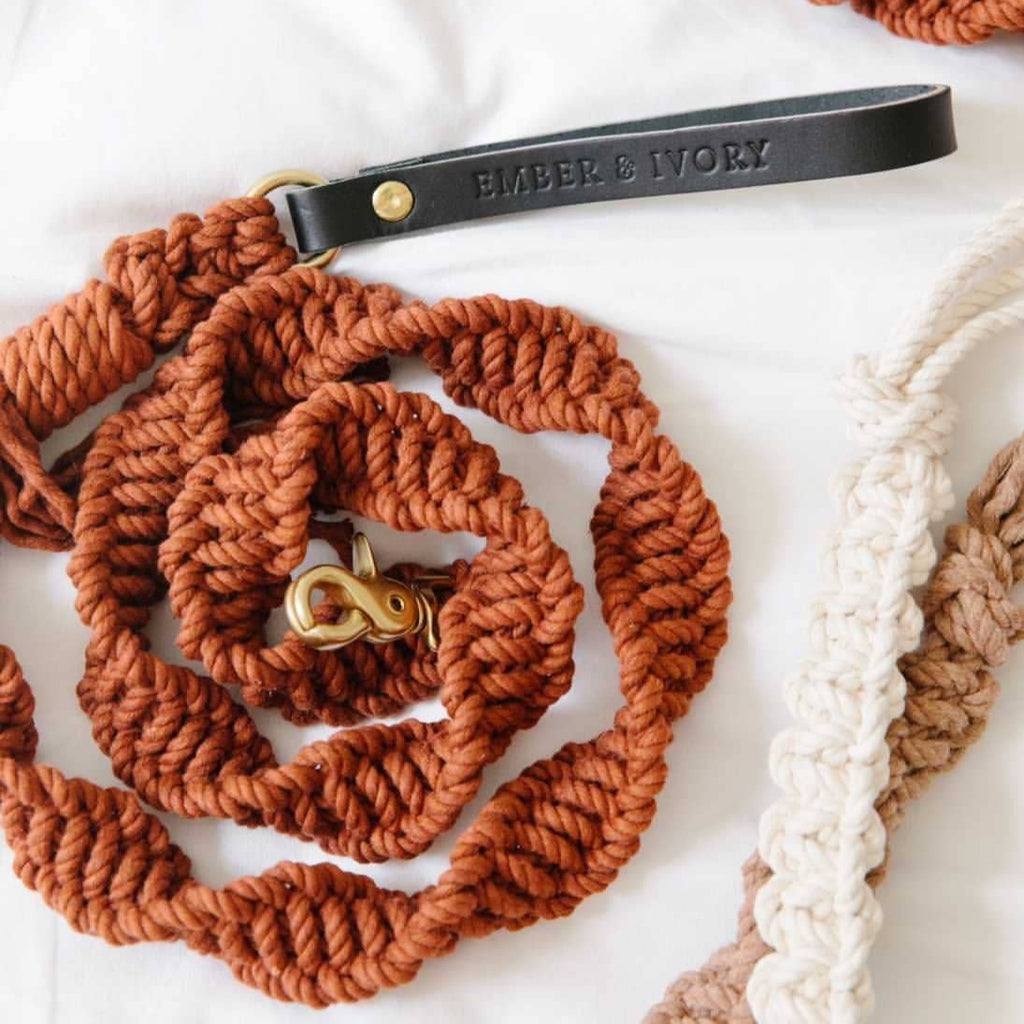 The Leather Handle Macrame Rope Dog Leash | The Playful Pooch