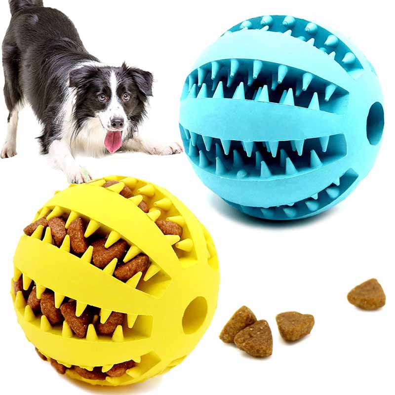 The Elasticity Dog Ball | The Playful Pooch