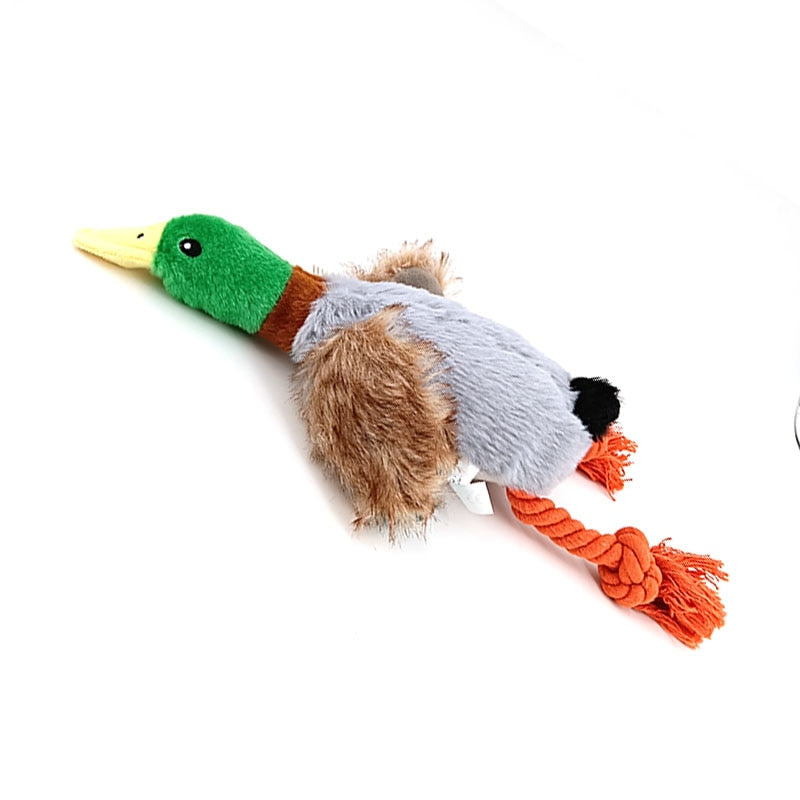 The Cute Plush Duck Dog Toy | The Playful Pooch