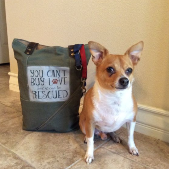 The Rescue Dog Recycled Military Tent Tote | The Playful Pooch