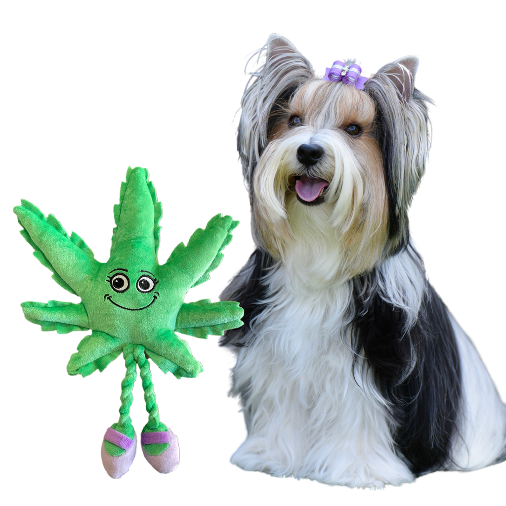 The Mary Jane the Weed Leaf 420 Dog Toy | The Playful Pooch